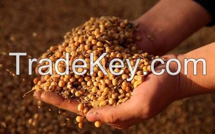 soya bean meal ,soybean meal animal feed