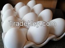 White Fresh Table Chicken Egg