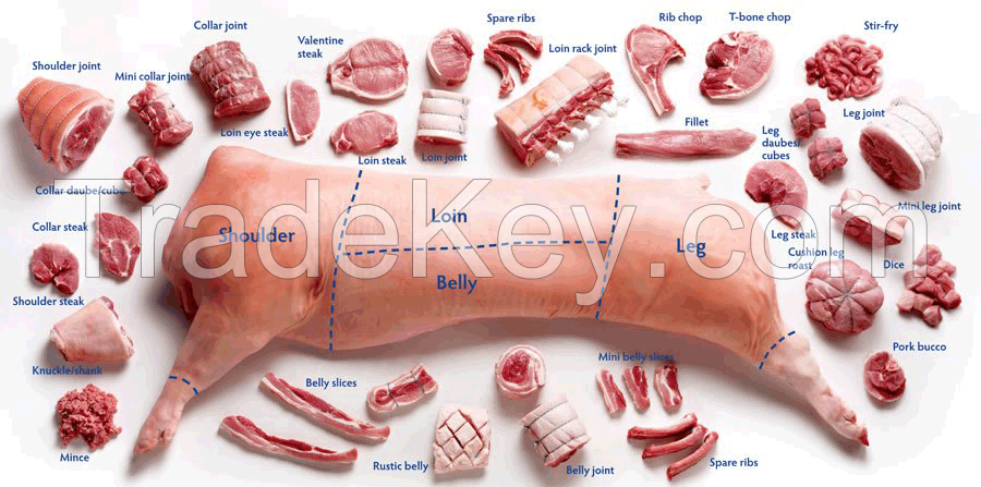 Halal Frozen Beef Meat / Liver / Veal / OFFALS.
