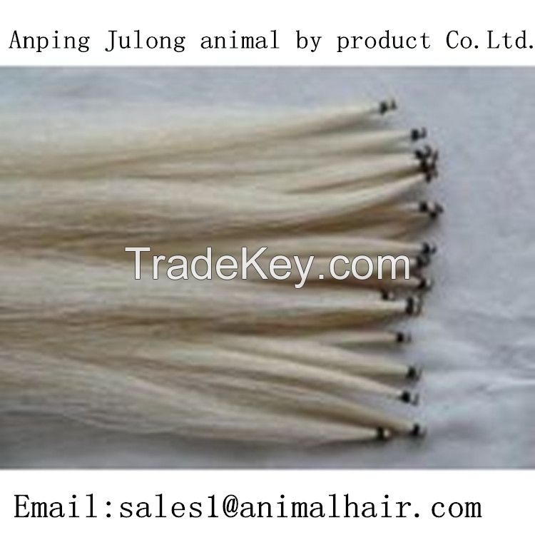 horse tail hair and pony tail hair  supplier  In China