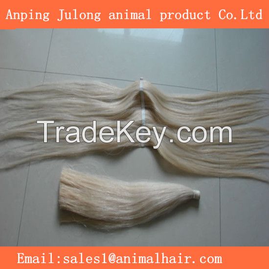 horse tail hair and pony tail hair  supplier  In China  