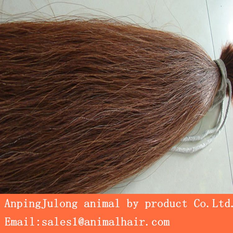 horse tail hair supplier