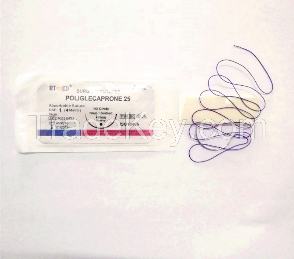 Absorbable suture With needle for surgical operation