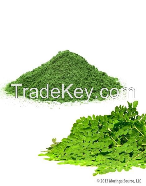 Moringa Extracs