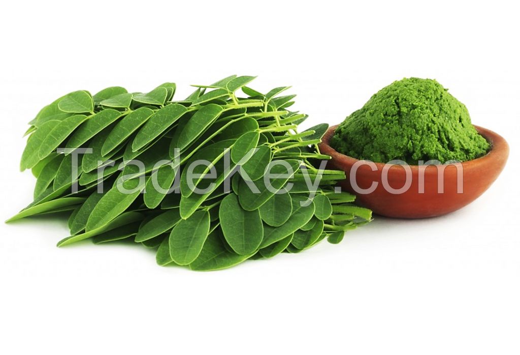 Moringa Extracs