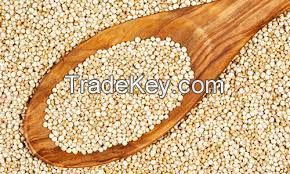 Wholesale High  quality  White Quinoa 