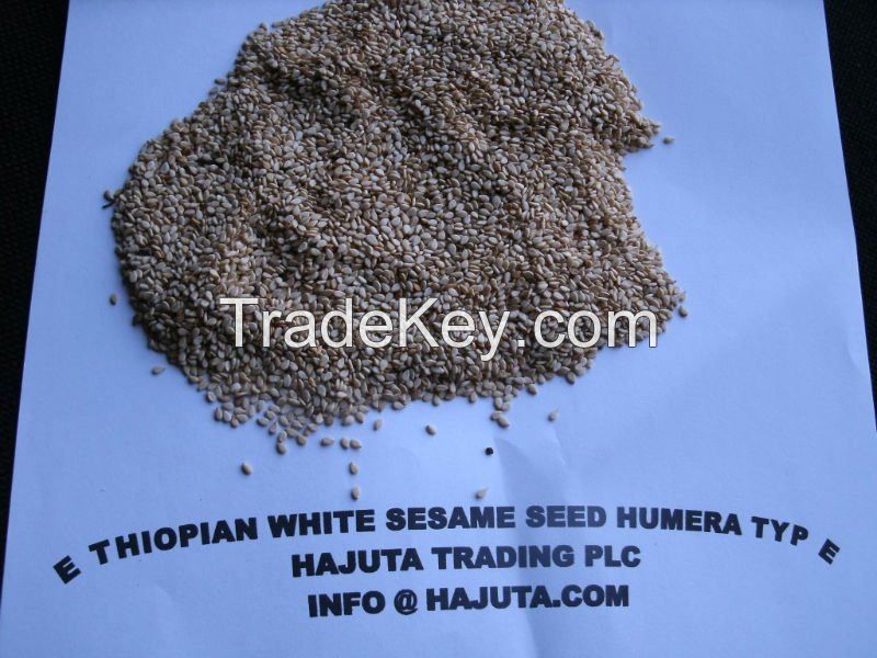 Wholesale SESAME SEEDS