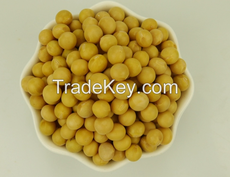 Wholesale High Quality Non-GMO Soybean &amp; GMO Soybean - Grade A