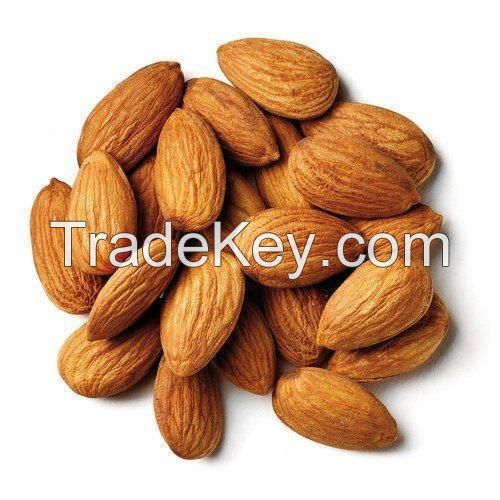 Wholesale Grade A Almond Nuts / Almond Kernel / Raw Bitter and Sweet Kernels