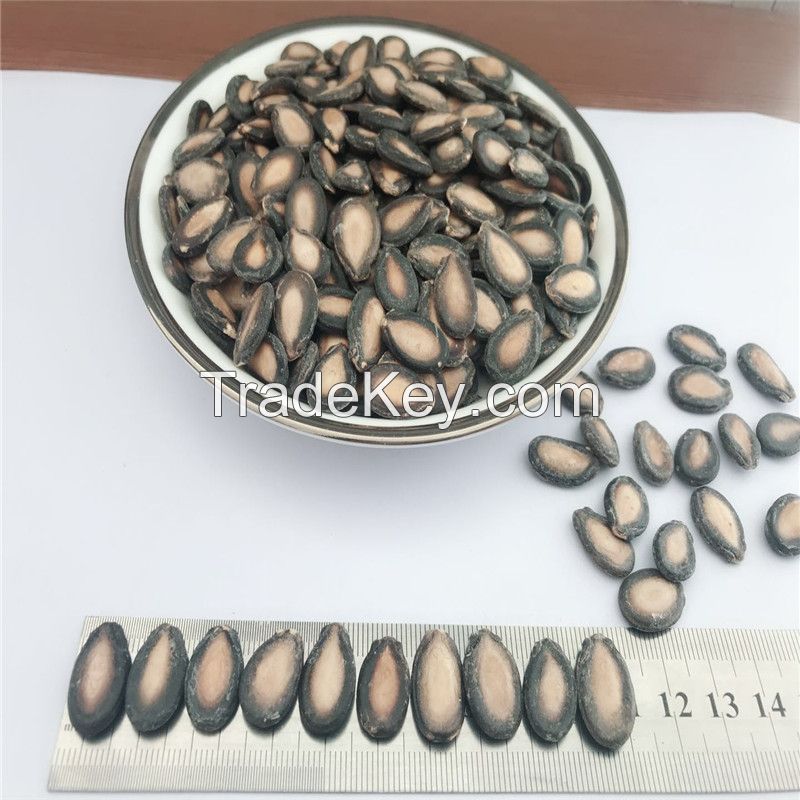 Wholesale Dried Water Melon Seeds For Sale