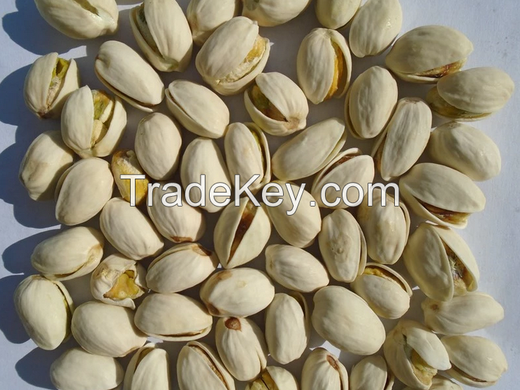 Wholesale Wholesale Pistachio Nuts / Pistachios Kernel for Sale 