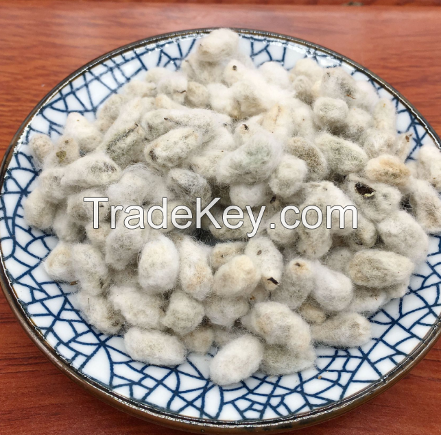 Wholesale Dried Cotton Seeds / Cotton Seeds Best Price