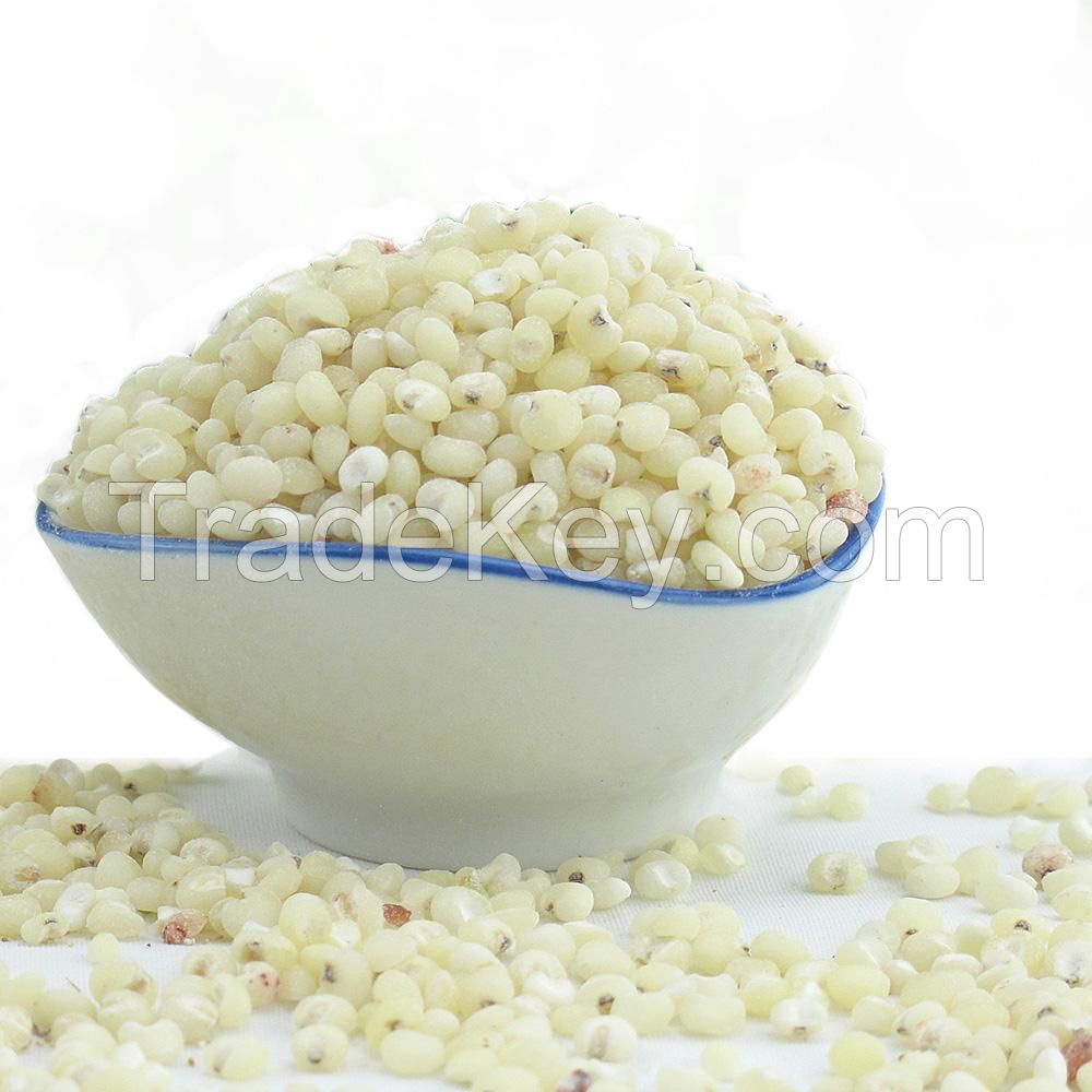 Wholesale  Top Quality White Sorghum Bulk Red Sorghum For Sale