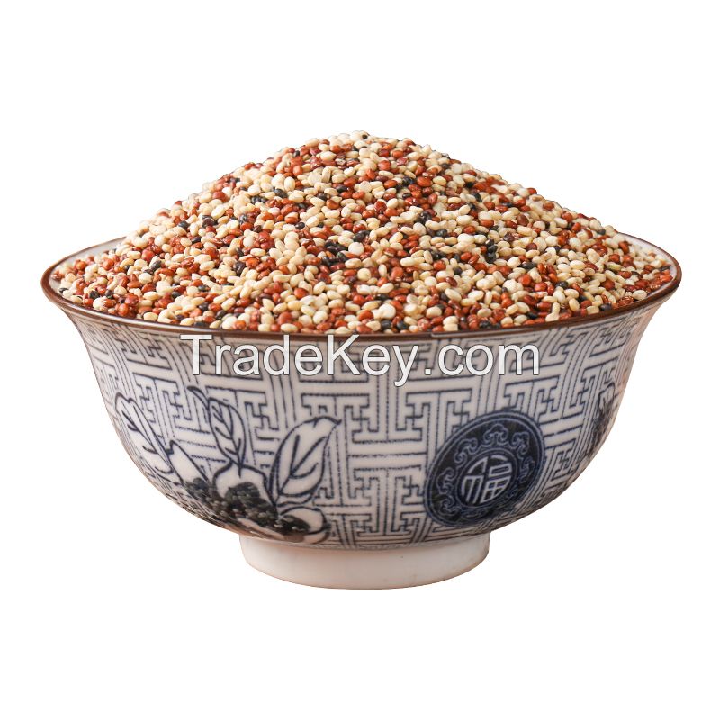 Wholesale Origin direct high-quality mixed three-color quinoa