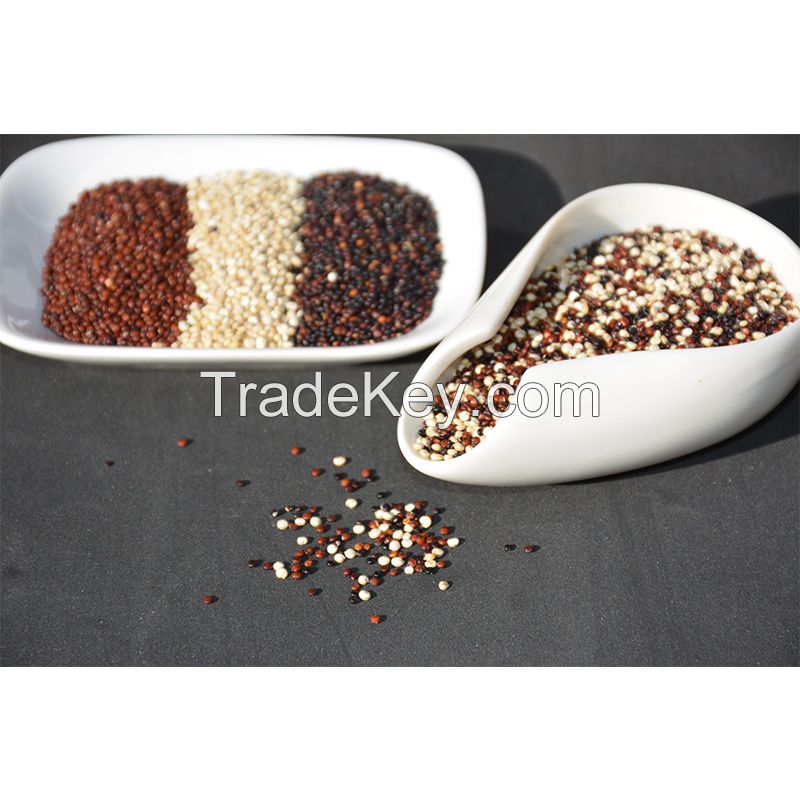 Wholesale Origin direct high-quality mixed three-color quinoa