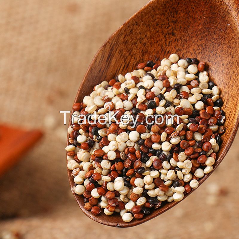 Wholesale Origin direct high-quality mixed three-color quinoa