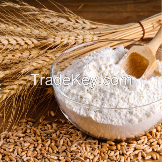 Wholesale Wheat flour