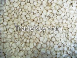 Wholesale Best Grade White Corn Maize For Animal Feed White Maize Corn