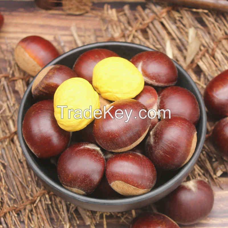 Wholesale new season small bag packaged Organic Roasted Chestnuts with shell