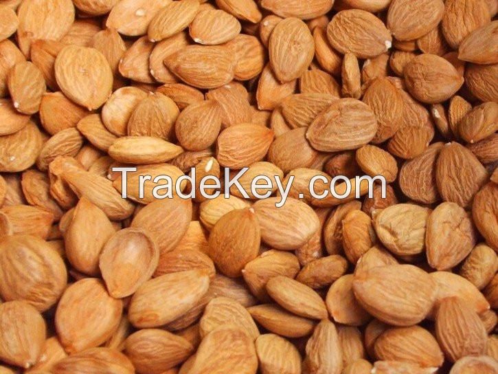 Wholesale Wild bitter almond bitter apricot kernels available at good rates