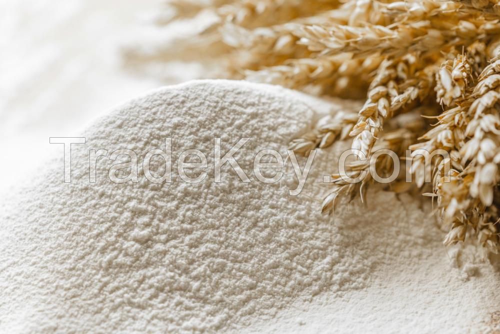 Wholesale Wheat Flour