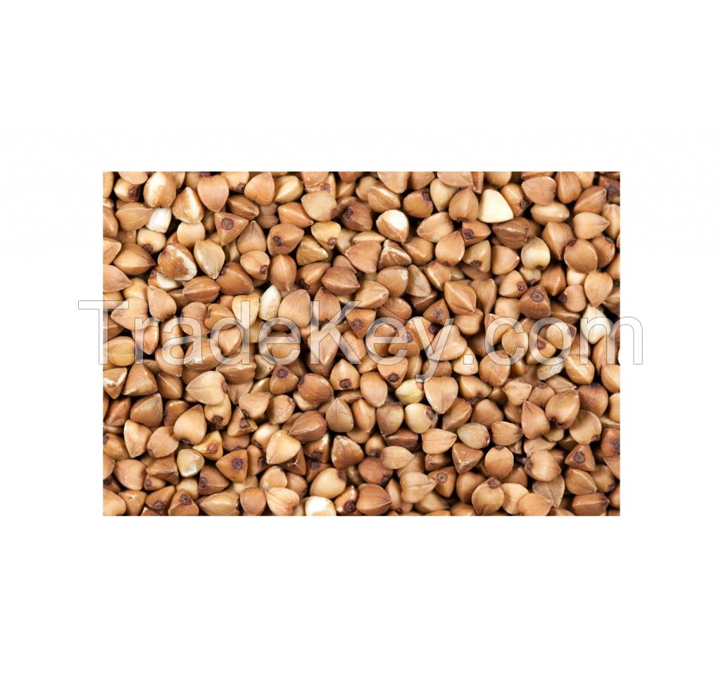 Wholesale Buckwheat