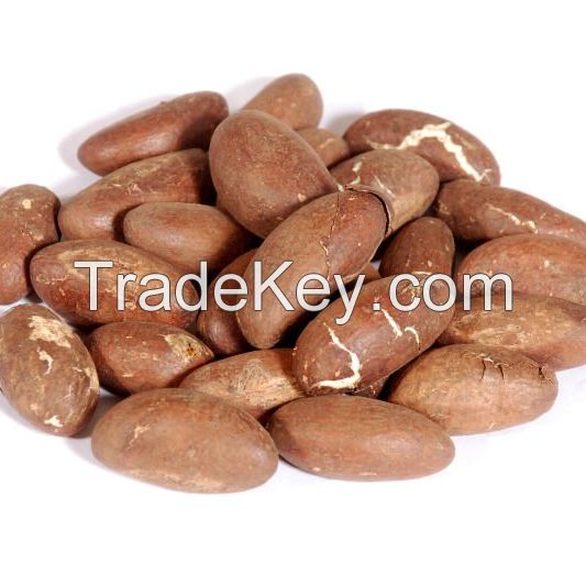 Wholesale Fresh Bitter Kolar Nuts