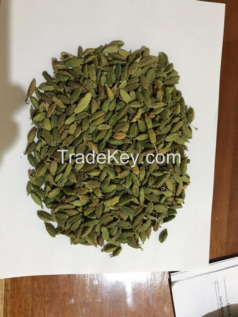 Green Cardamom