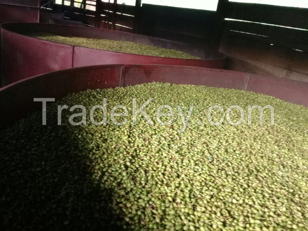 Green Cardamom