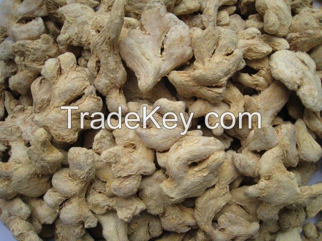 Dried Ginger | Exporting worldwide including EU, USA and Canada
