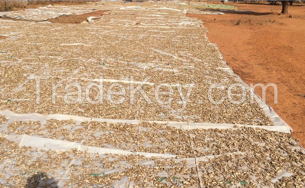 Dried Ginger | Exporting worldwide including EU, USA and Canada