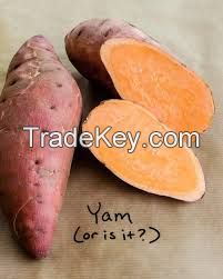 Yam tuber