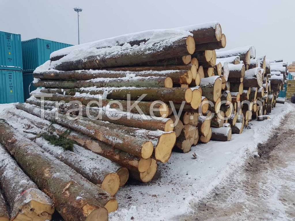 Scots Pine and Spruce 12-19cm / 20+ ave 26cm ABC Saw Logs from Lithuania / Poland