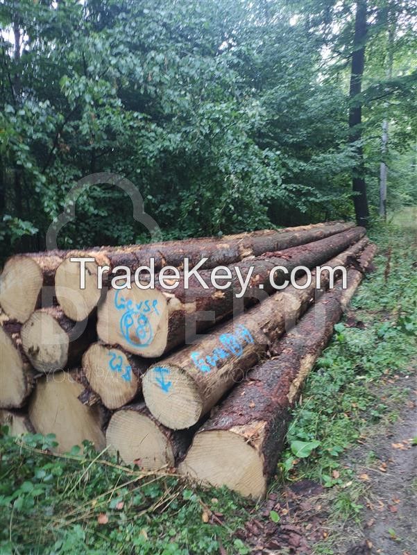 Spruce 14-18cm / 20+cm 11.5 m +0.3 free trim logs from Germany