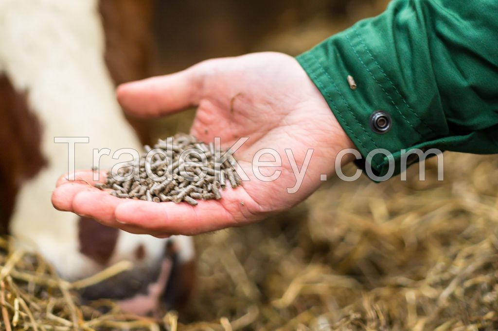 Talc Filler For Animal Feed