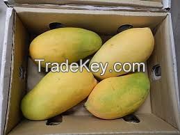 Fresh Fruit ( Mango, Orange)