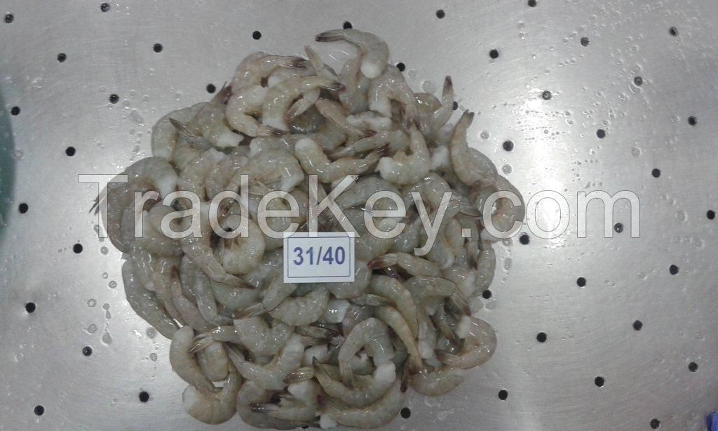 sell ; VANNMIE SHRIMPS