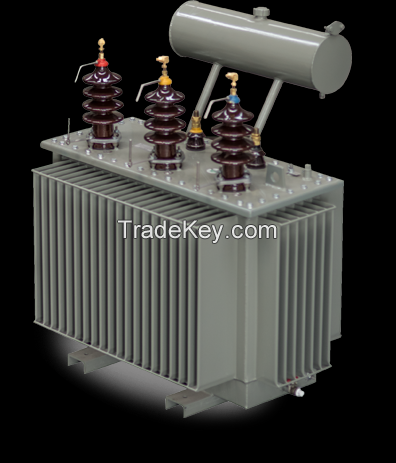 CONSERVASTOR TYPE DISTRIBUTION TRANSFORMERS