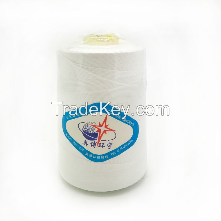20S/5 virgin polyester bag closer thread factory in China