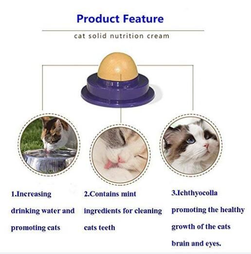 Cat Energy Bowl/Candy Catnip