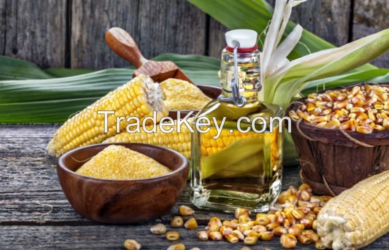 High Standard Refined Corn Oil
