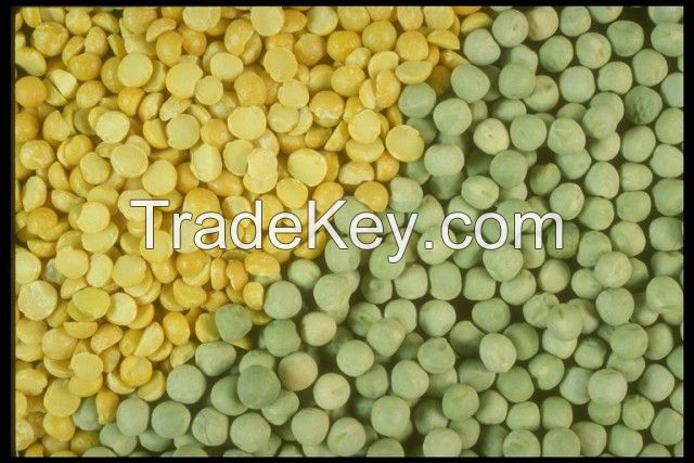 High Quality Yellow Split Peas Green Split Peas from Ukraine