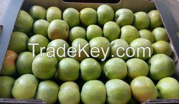 Fresh Apples from Ukraine Fuji, Gala, Champion, Ligol, Golden, Florin