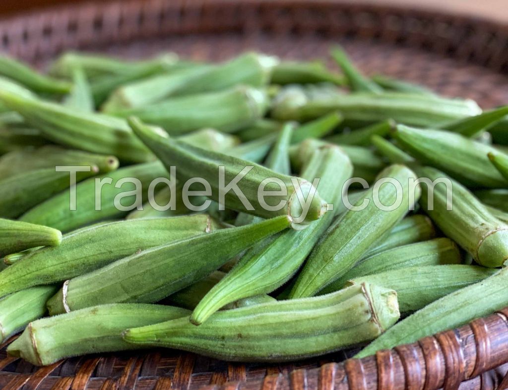 Happy Fresh Ãƒï¿½Ã‚Â¢ÃƒÂ¯Ã‚Â¿Ã‚Â½ÃƒÂ¯Ã‚Â¿Ã‚Â½ Premium Garden Okra