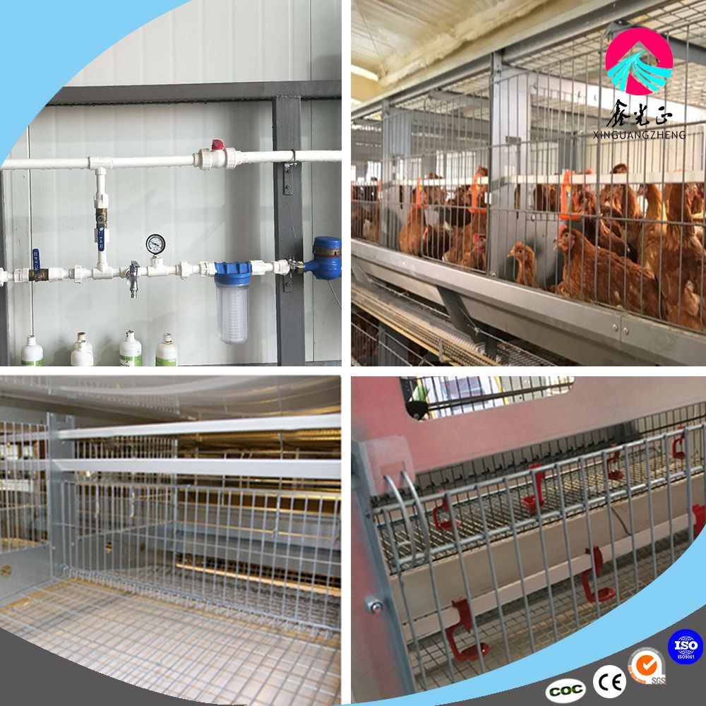 animal husbandry equipment Chicken Cage Feeding Equipment Poultry Chicken House