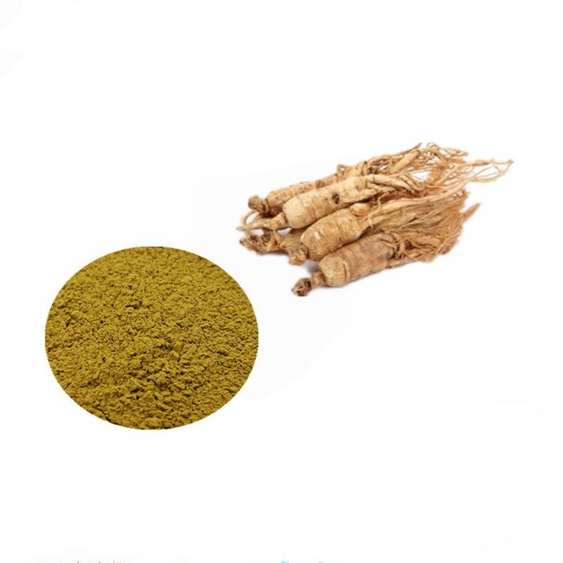 Hot selling High Quality Ginseng Extract With best price 4:1 10:1 20:1