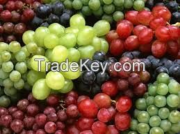 Fresh Class 1 Grapes, Fresh Seedless Grapes from South Africa