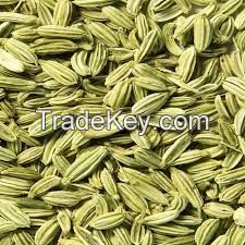 Fennel Seed , Organic Fennel Seeds