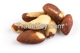 Grade AA+ Organic Brazil Nuts