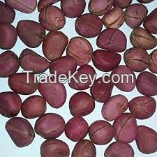 Kola nuts,bitter kola nuts,Original African Kola nut,Fresh red cola nut sgs certified kola nuts